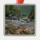 Suche nach herbstlaub ornamente Herbstfarben