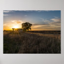 Suche nach colorado poster Sonnenuntergang