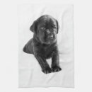 Suche nach schwarzes labrador geschirr tücher Welpe