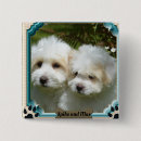 Suche nach magnet buttons Hund