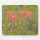 Suche nach wildblume mousepads Wiese