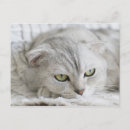 Suche nach falte postkarten Niedlich