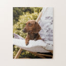 Suche nach weiner puzzle Hund