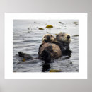 Suche nach seeotter poster Ozean