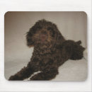 Suche nach pflege mousepads Maus