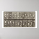 Suche nach muybridge poster Fotografie