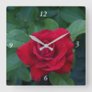 Suche nach rote rosen wanduhren Natur