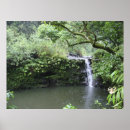 Suche nach regenwald poster Hawaii