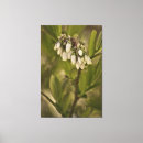 Suche nach weiße blumen leinwandbilder Fotografie