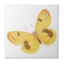 Suche nach gelbe schmetterlinge fliesen Elegant