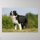 Suche nach pam poster Stehend