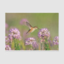 Suche nach kolibrie seidenpapier Vogel