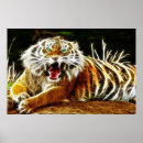 Suche nach bengalischer tiger poster Katzen
