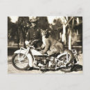 Suche nach vintager löwe postkarten Löwen