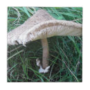 Suche nach pilz fliesen Pflanze