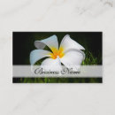 Suche nach frangipani visitenkarten Mit blumen