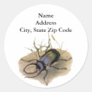 Suche nach vintage insekten aufkleber Käfer