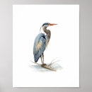 Suche nach vögel poster Handgezeichnet