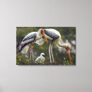 Suche nach störche leinwandbilder Vogel