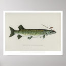 Suche nach fisch poster Retro