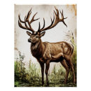 Suche nach geweihe poster Wildtiere