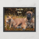 Suche nach bulldog postkarten Hunde