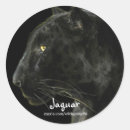 Suche nach jaguar aufkleber Großkatzen