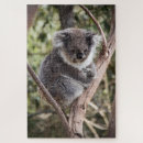Suche nach koala puzzle Australia