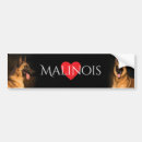 Suche nach funktionshund wohnen zuhause Malinois