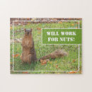 Suche nach nüsse puzzle Eichhörnchen