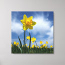 Suche nach gelbe blumen leinwandbilder Blau