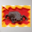 Suche nach rauer poster Natur