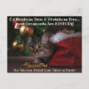 Suche nach christmas cat postkarten Foto