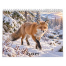 Suche nach fuchs kalender Füchse