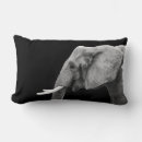 Suche nach afrikanischer elefant kissen Schwarzes