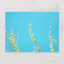 Suche nach forsythia postkarten Quelle
