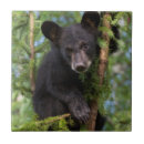 Suche nach minnesota fliesen Gefangen