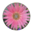 Suche nach schnitt schneidebrettchen Rosa