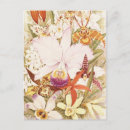 Suche nach cattleya orchidee postkarten Rosa