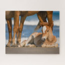 Suche nach wilde mustangs puzzle Wild horse