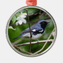 Suche nach schwarzer vogel ornamente Tiere