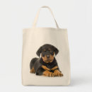 Suche nach rottweiler taschen Welpen