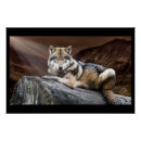 Suche nach wolf poster Wild
