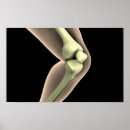 Suche nach menschliche knochen poster Illustration