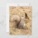 Suche nach nuss mit eichhörnchen einladungen Natur