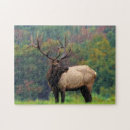 Suche nach stier puzzle Feld