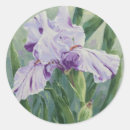 Suche nach lila iris aufkleber Grün