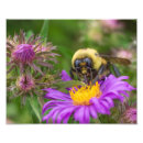 Suche nach lila wildblumen poster Botanisch