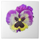 Suche nach pansy fliesen Pflanze