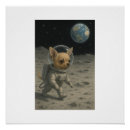 Suche nach chihuahua poster Mond